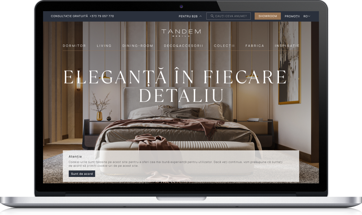 Promovare cuprinzătoare SEO a site-ului TANDEM